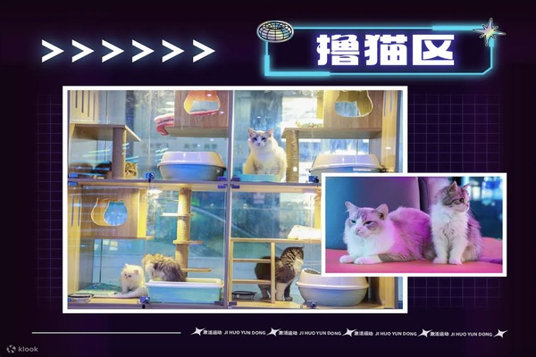 激活運動遊戲館